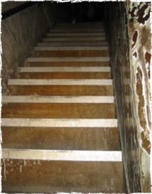 Timber staircase connecting each floor.